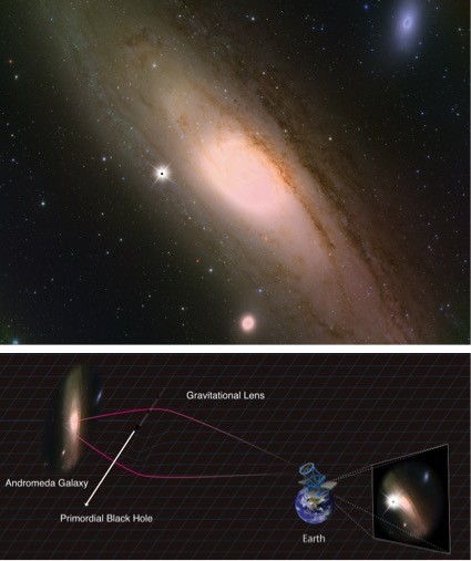Another Theory Bites the Dust -- Dark Matter is Not Made-Up of Tiny Primordial Black Holes