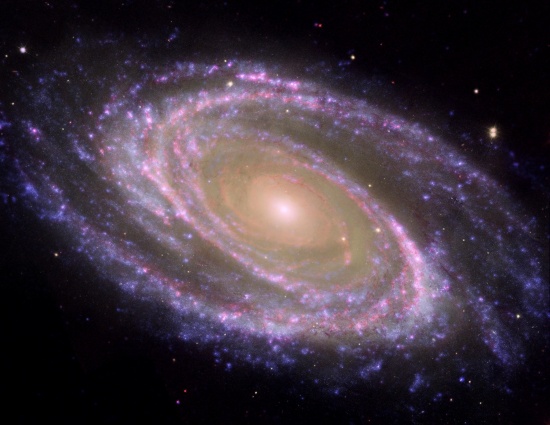 Large Bright Cepheids Provide a Viable Standard Candle to 300 Million Light Years