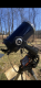 Steve.Holak's avatar