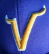 V man's avatar