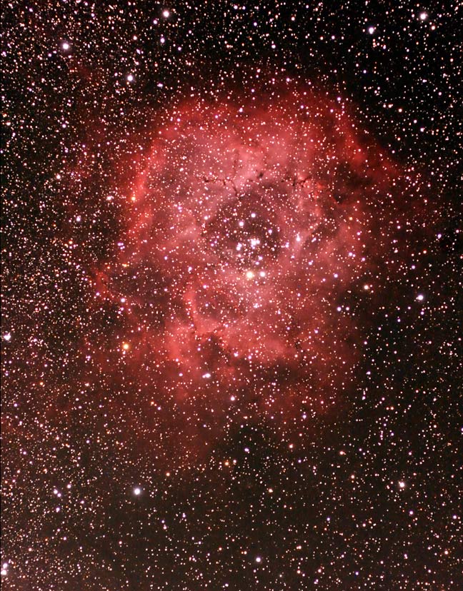 Rosette nebula