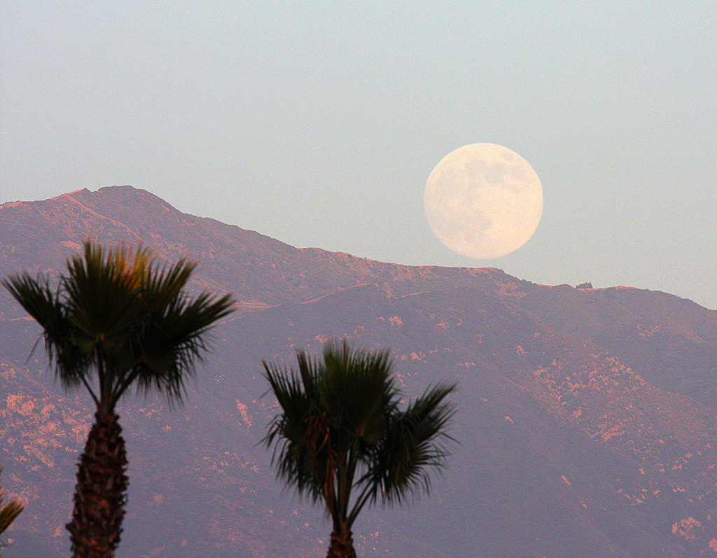 Moonrise