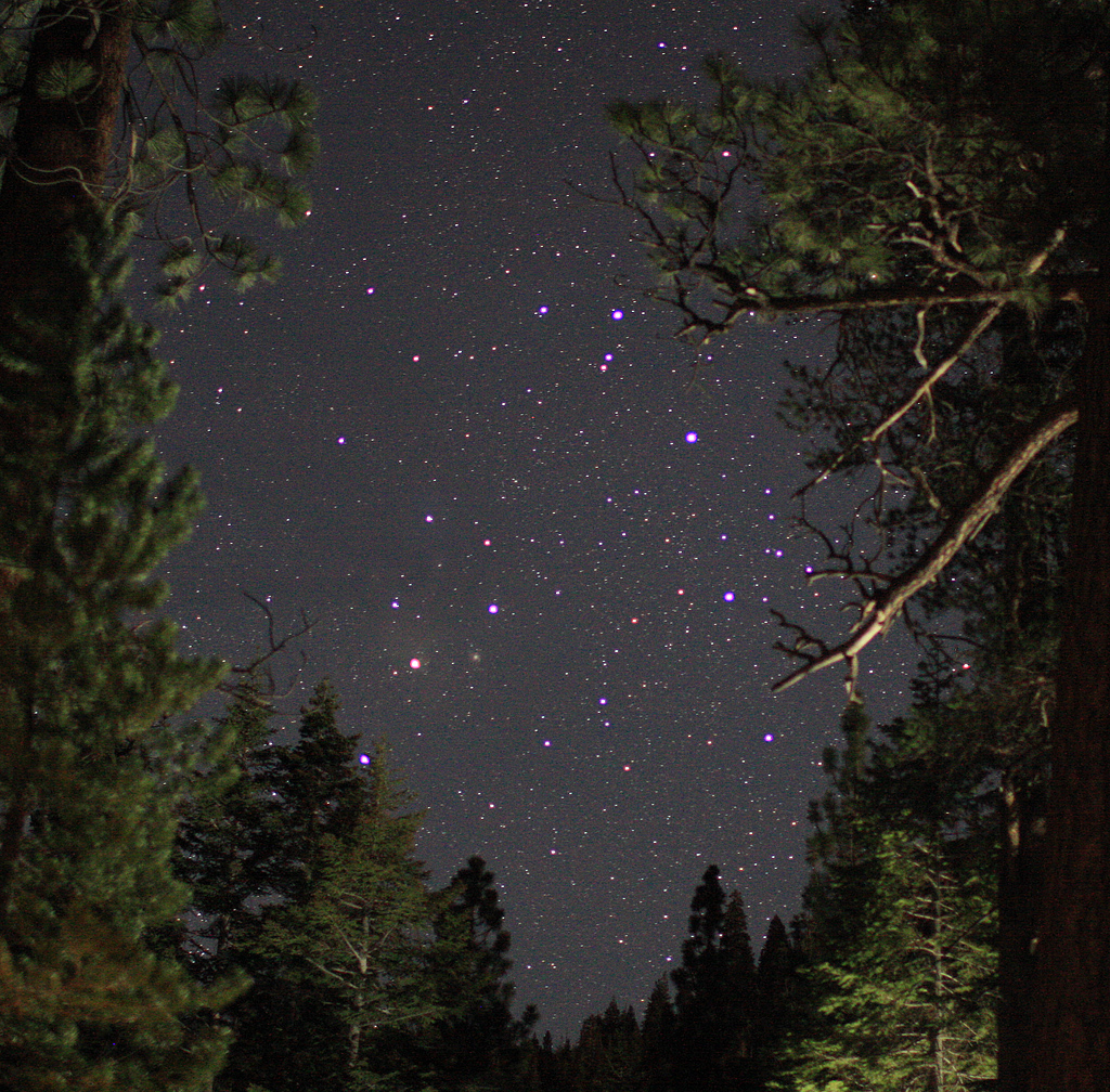 Camping