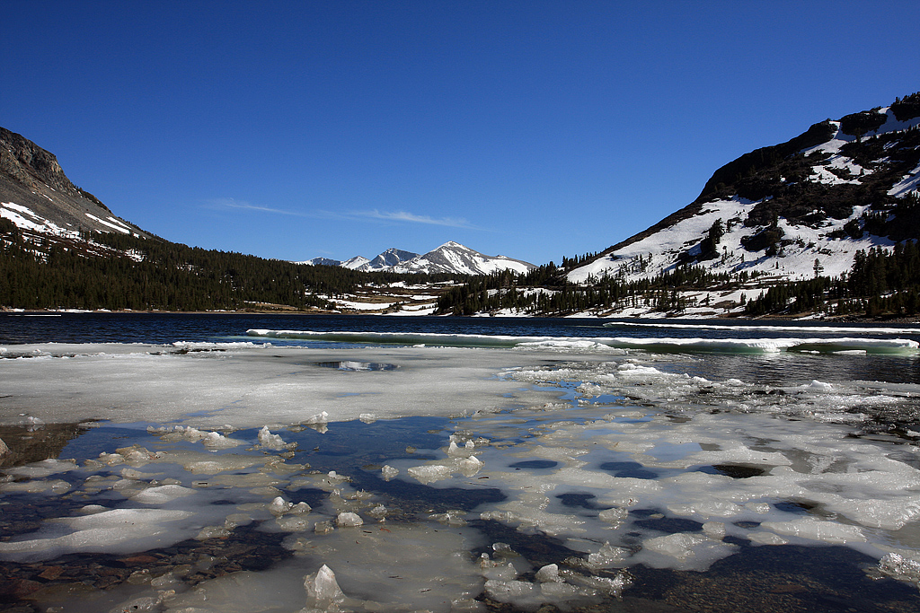 June at Lake Tioga