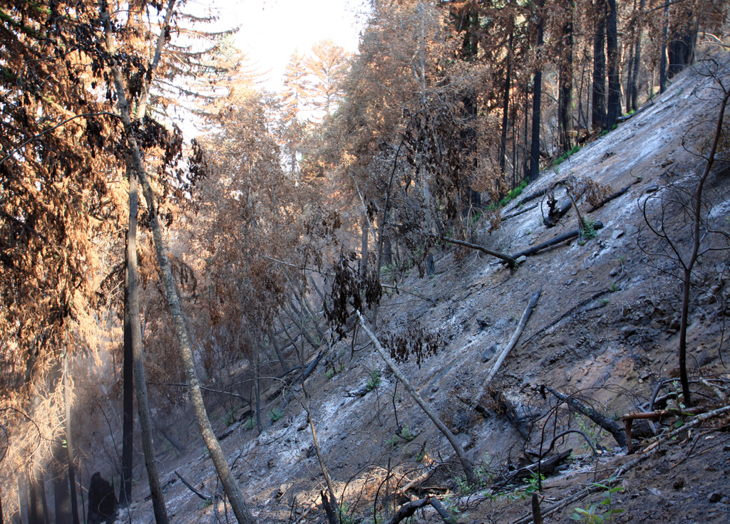 After the Fire