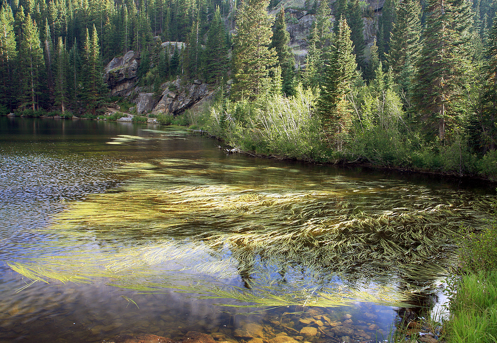 Bear Lake