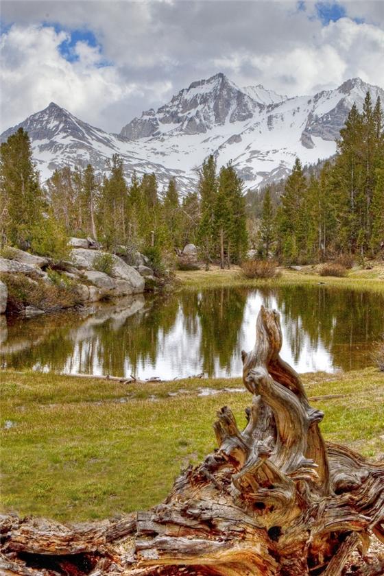 Mono Pass