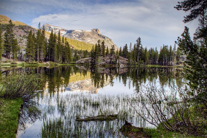 Nunatak Trail
