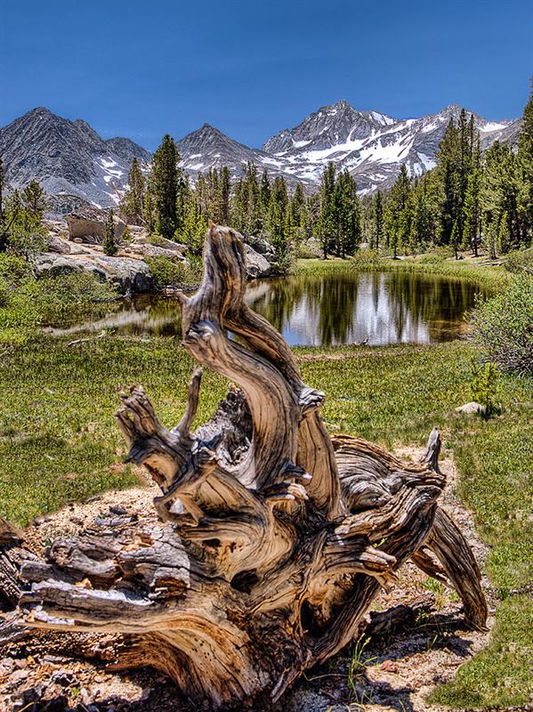 Mono Pass Tarn