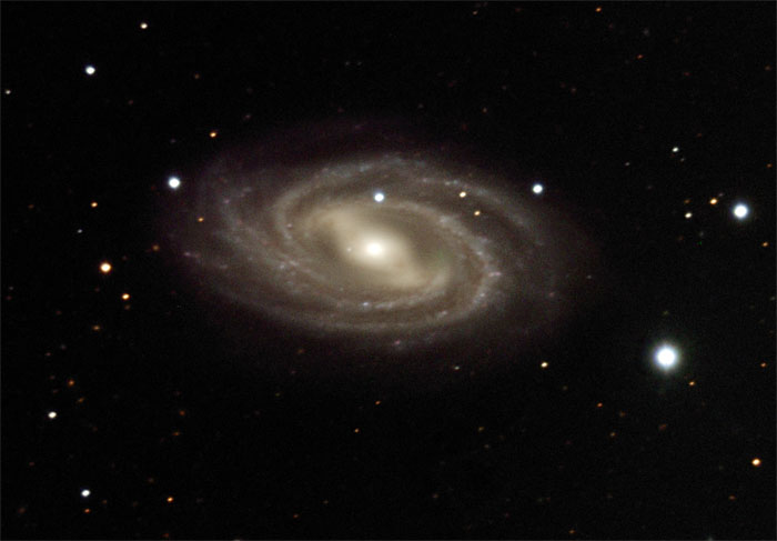 M109