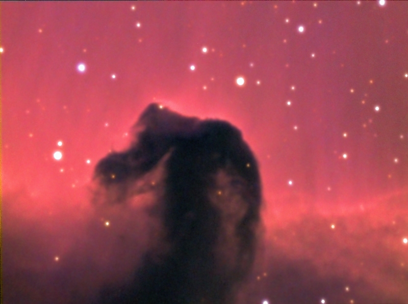 IC 434 Horse Head