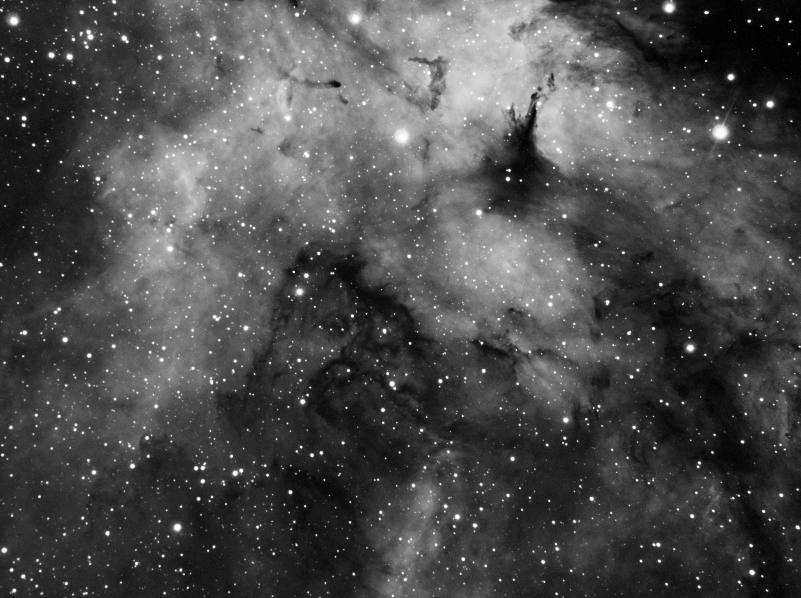 IC1318