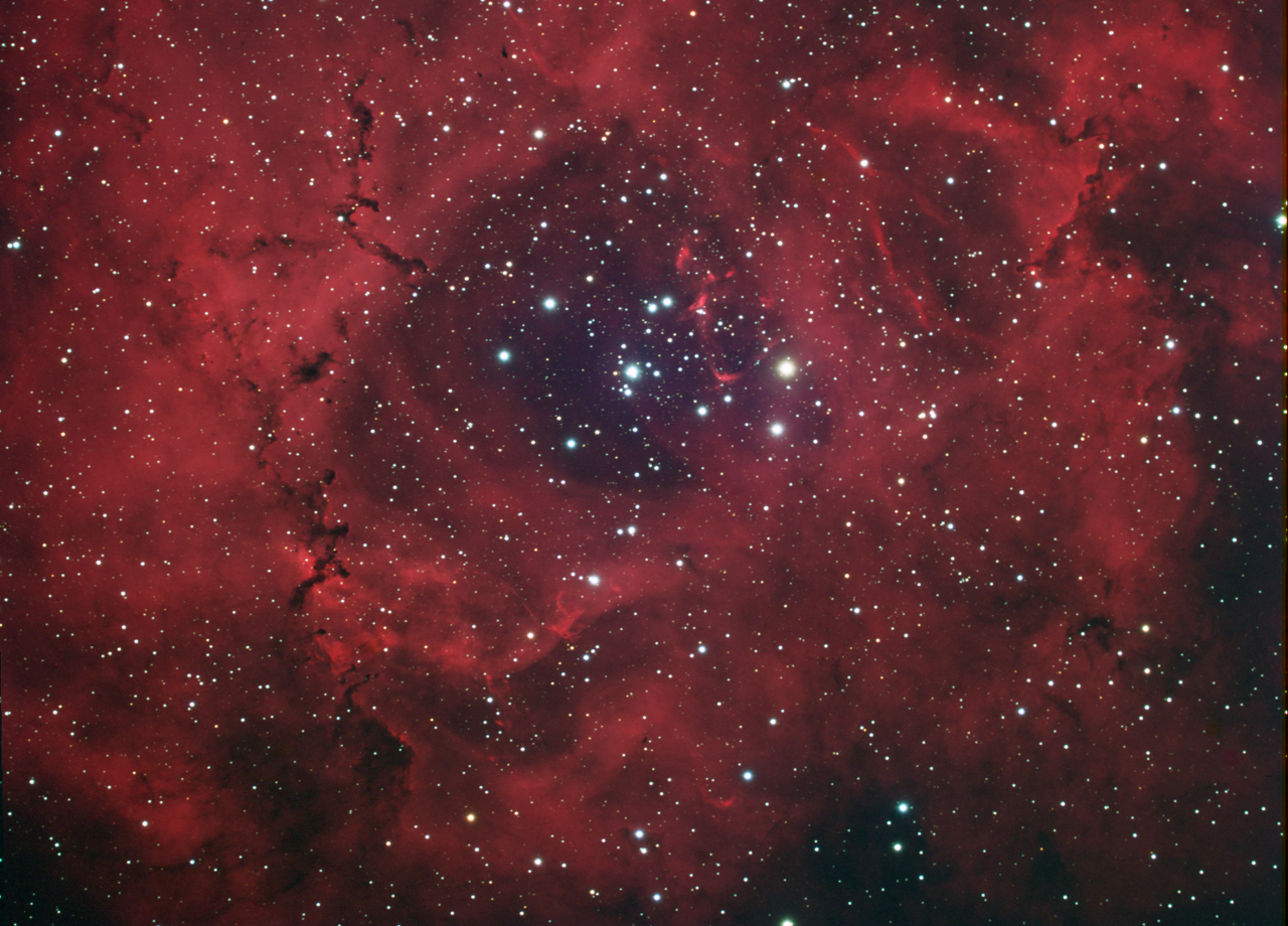 Rosette