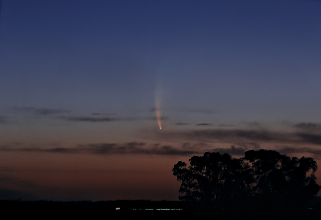 McNaught at dusk