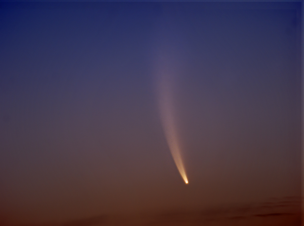 McNaught Close up