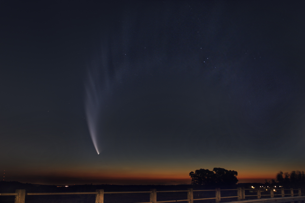 McNaught & Tail