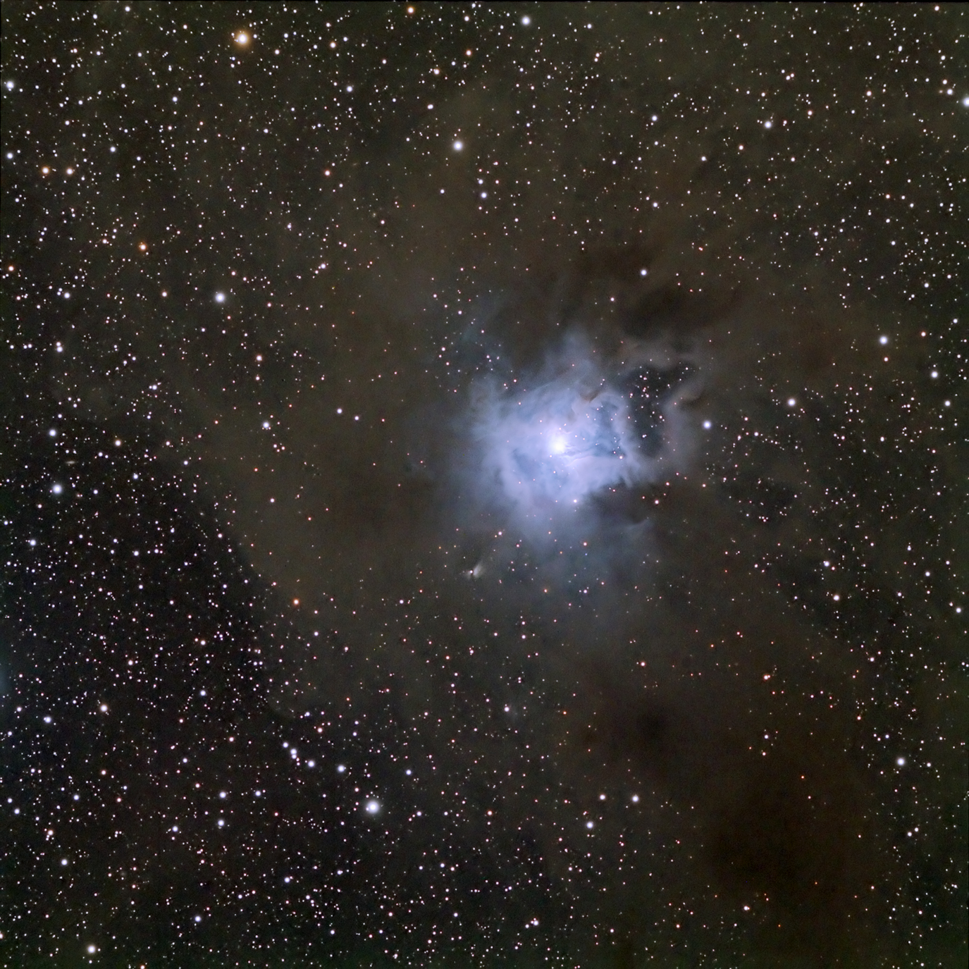 NGC 7023: The Iris Nebula
