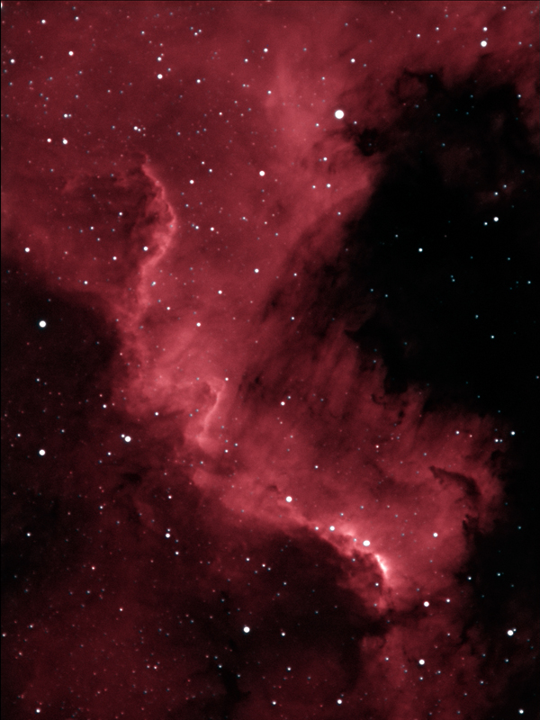 NGC 7000