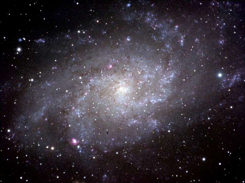 M33