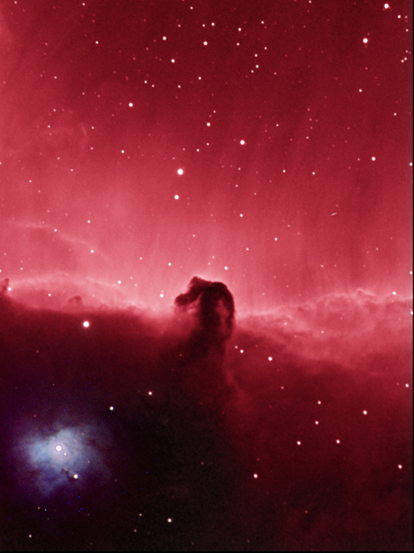 Horsehead