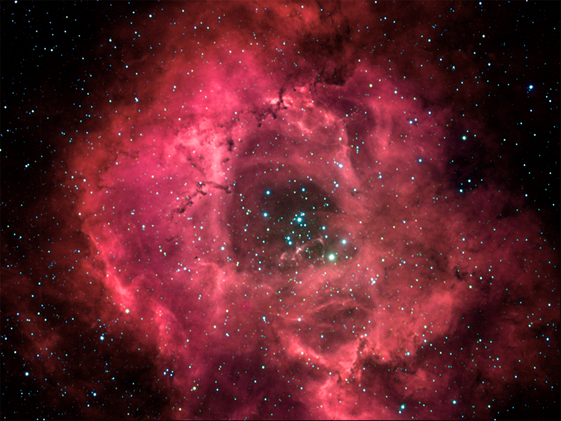 Rosette