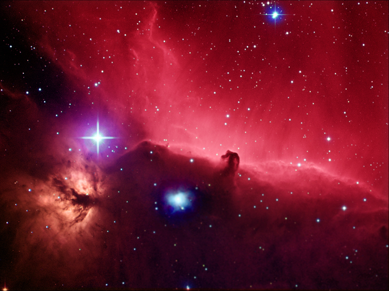 Horsehead and Flame