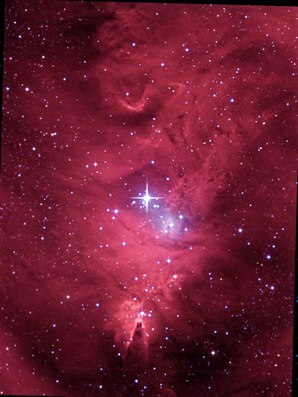 Cone and Christmas Tree Cluster