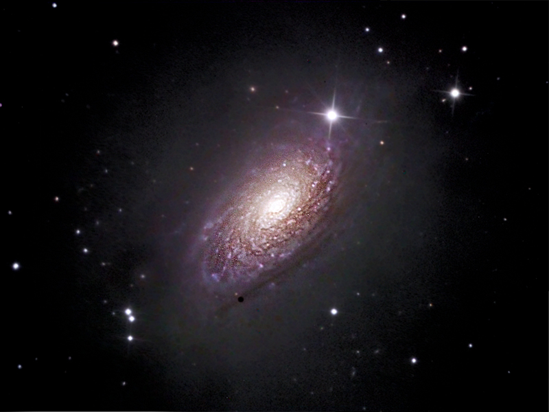 M63
