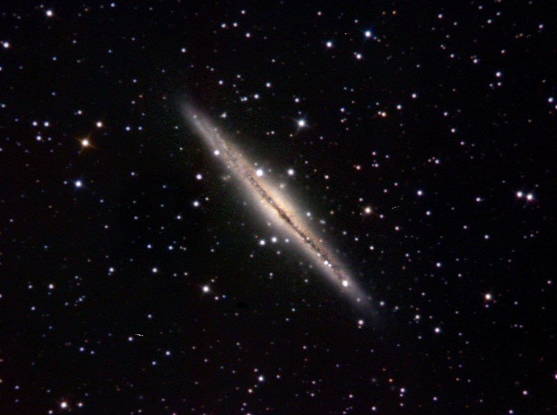 NGC891