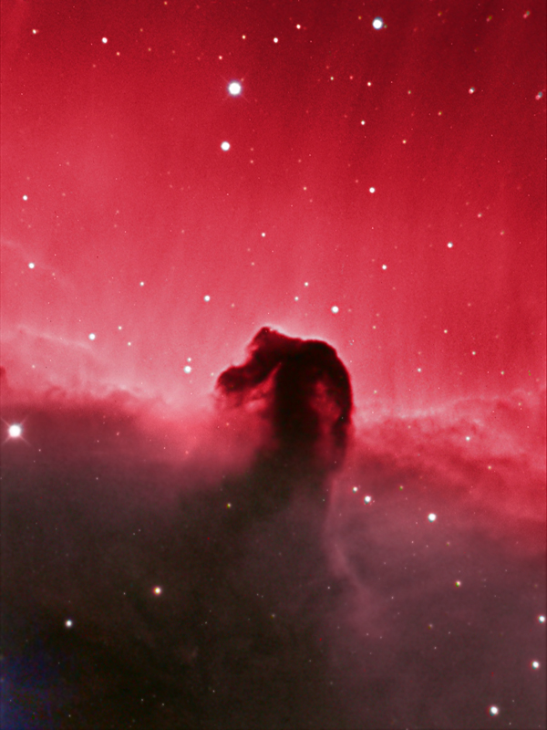 HorseHead