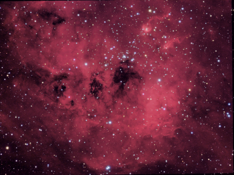 IC 410