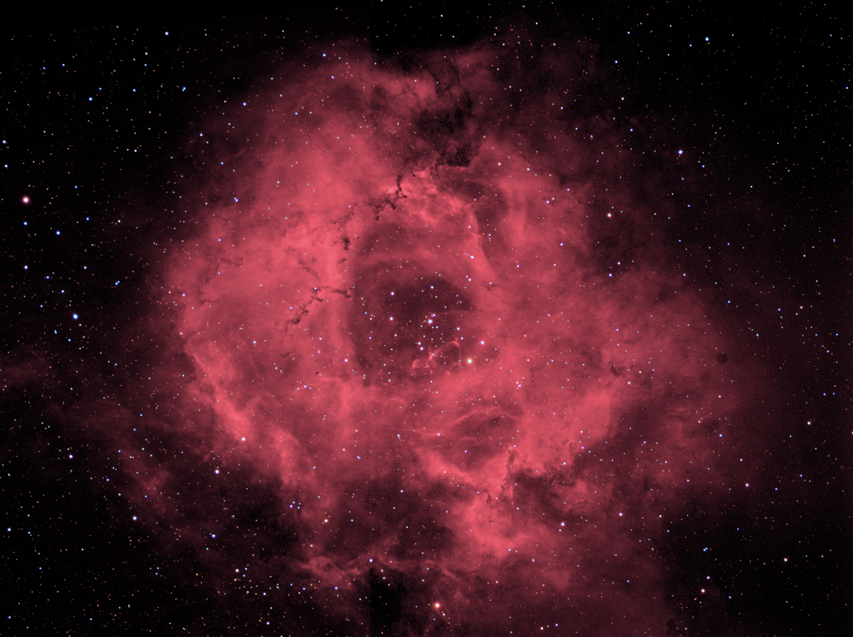 Rossette
