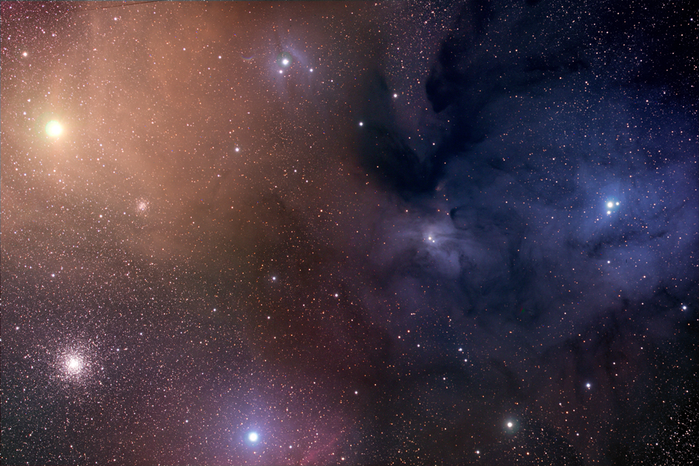 Rho Ophiucus Region