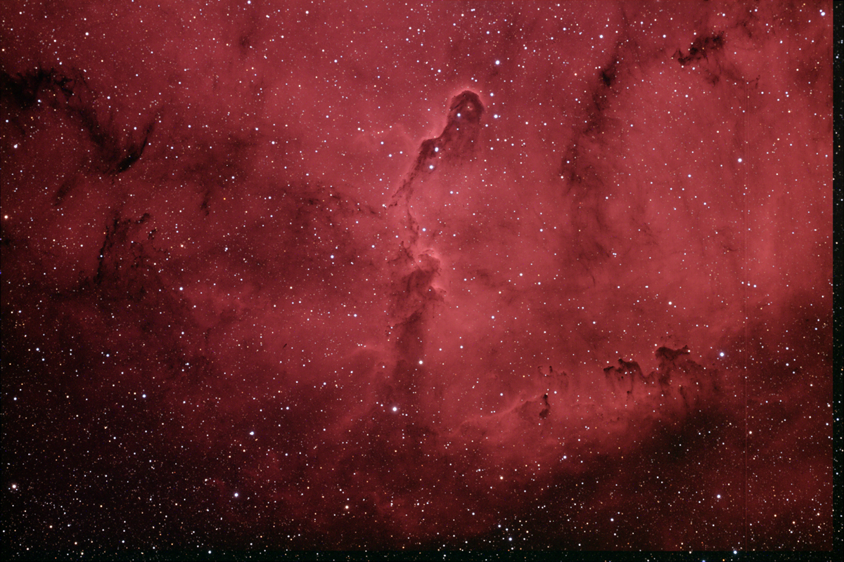 IC1396