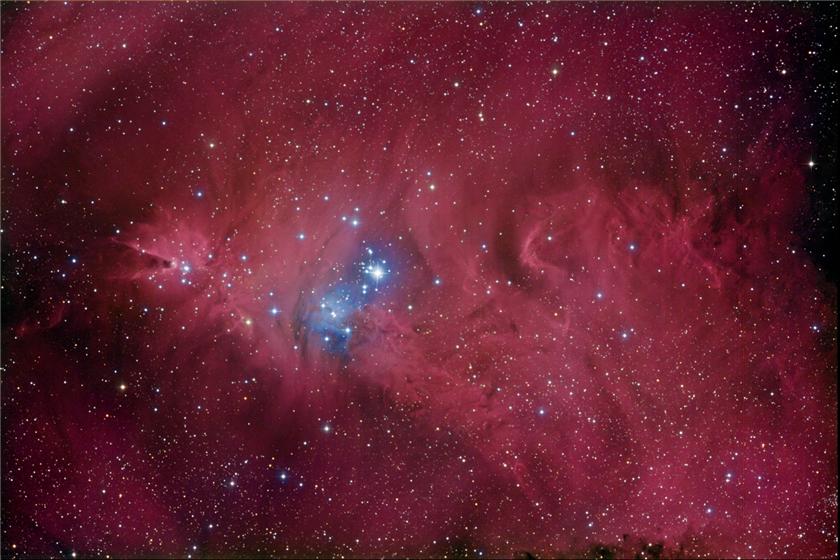 Christmas Tree Cluster