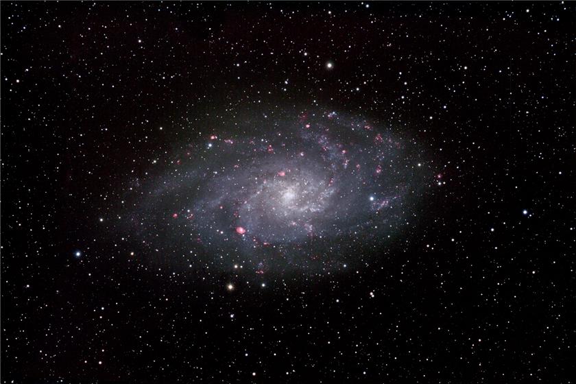 M33
