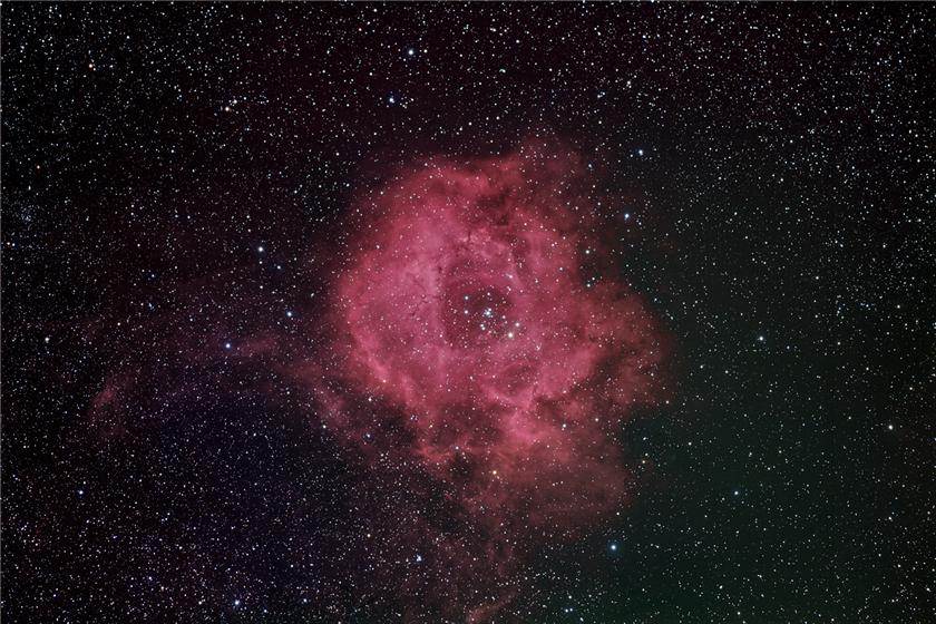 Rosette Nebula