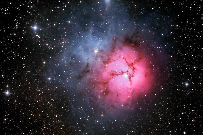 Trifid
