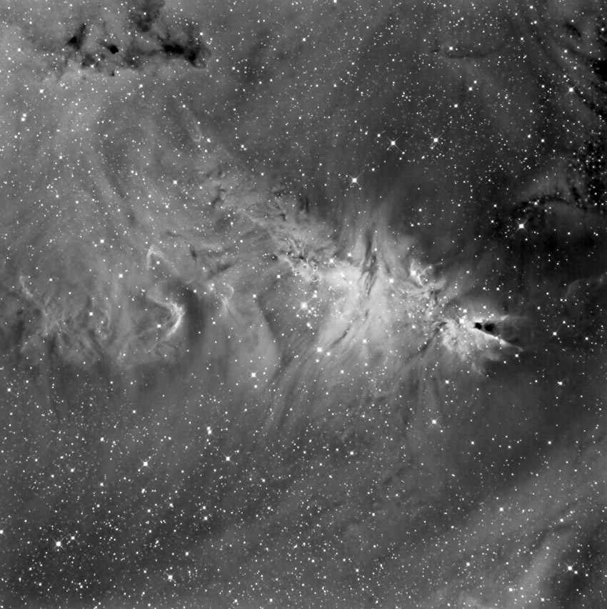 NGC 2264