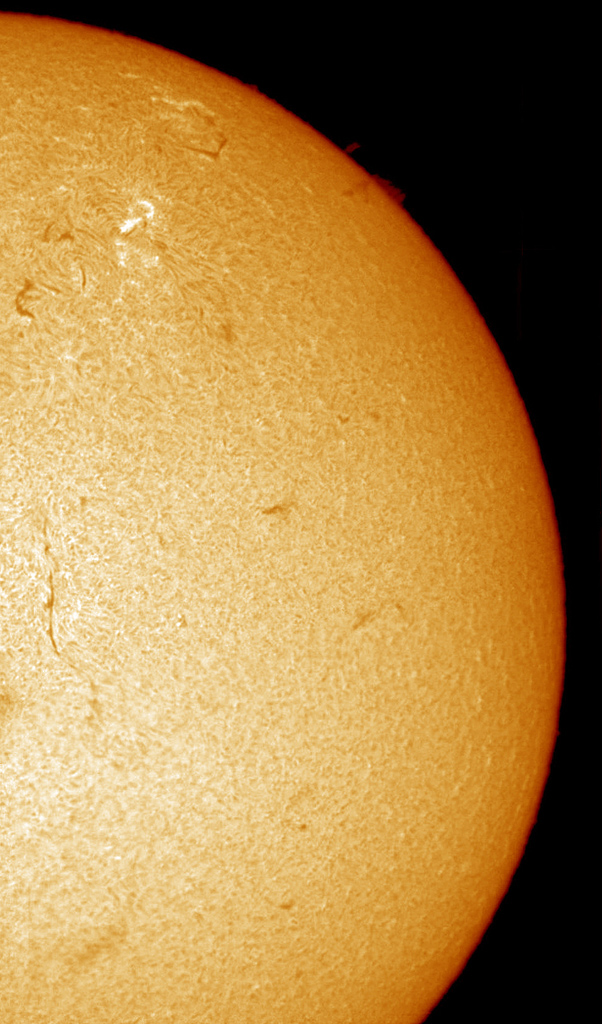 sun mosaic - PST