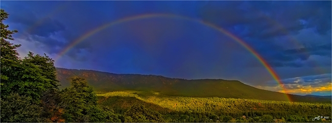 Rainbow