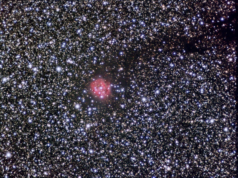 Cocoon Nebula
