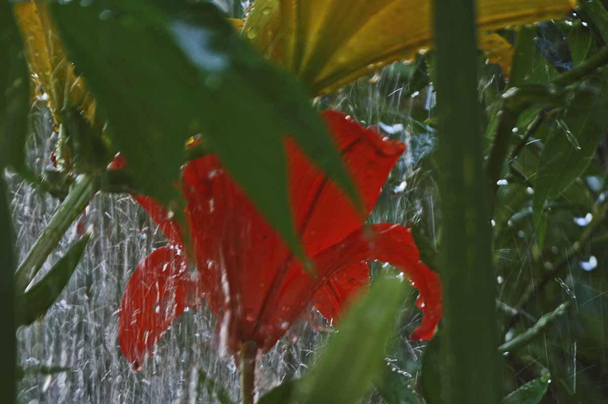 taken during a storm