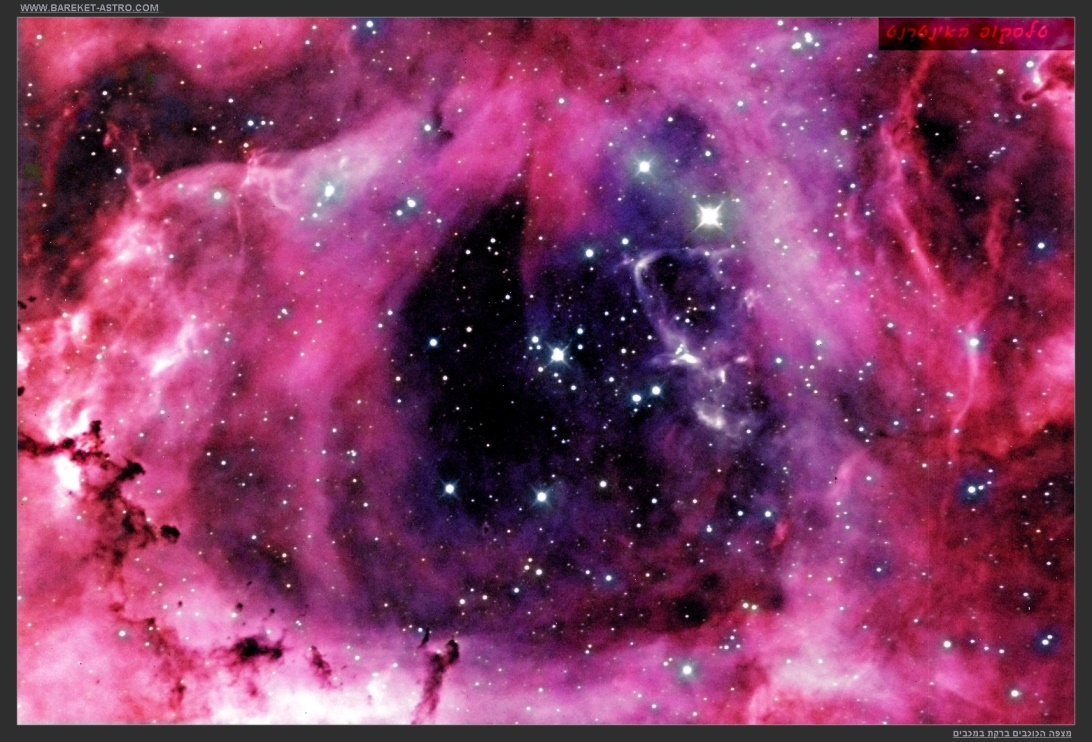 The rosetta nebula