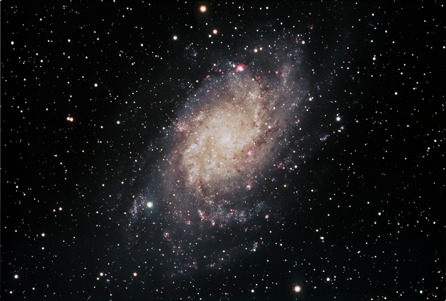 M33