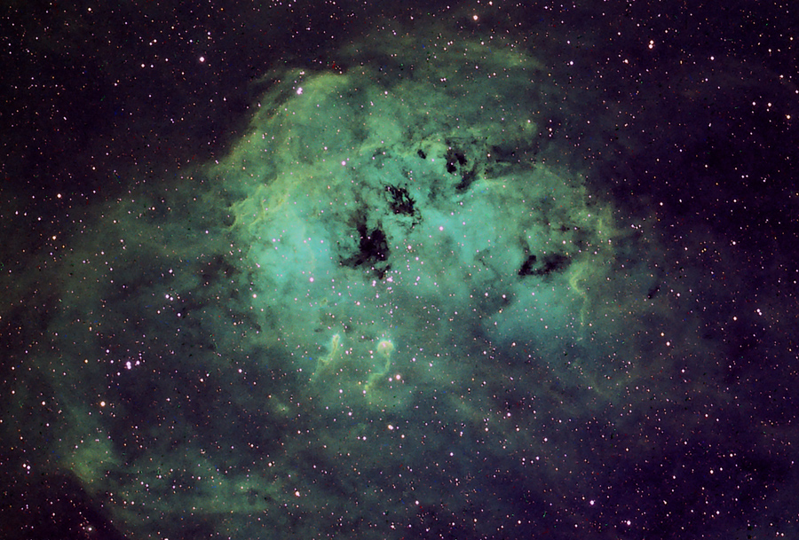 IC 410 The Tadpoles