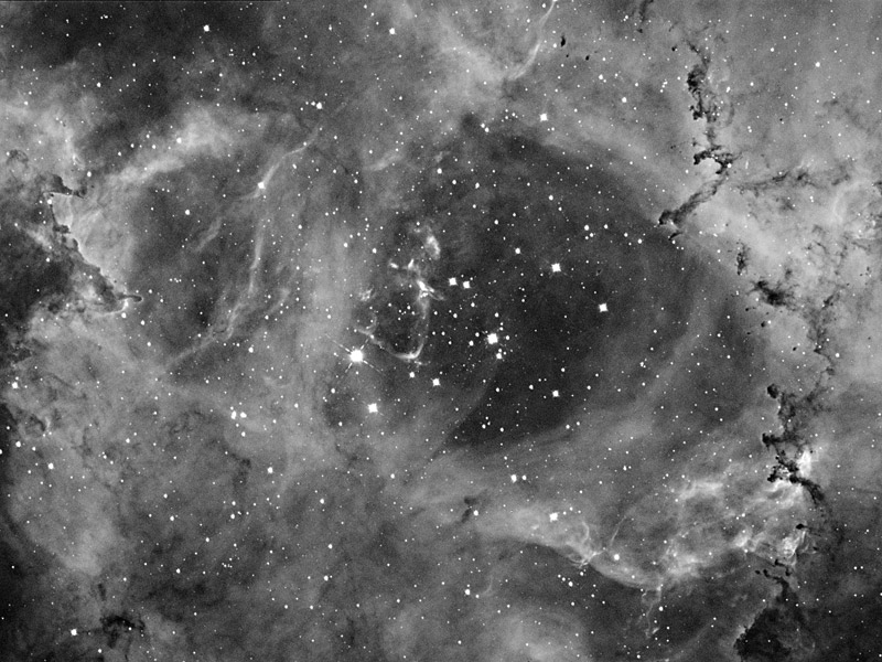 Complex Rosette Ha
