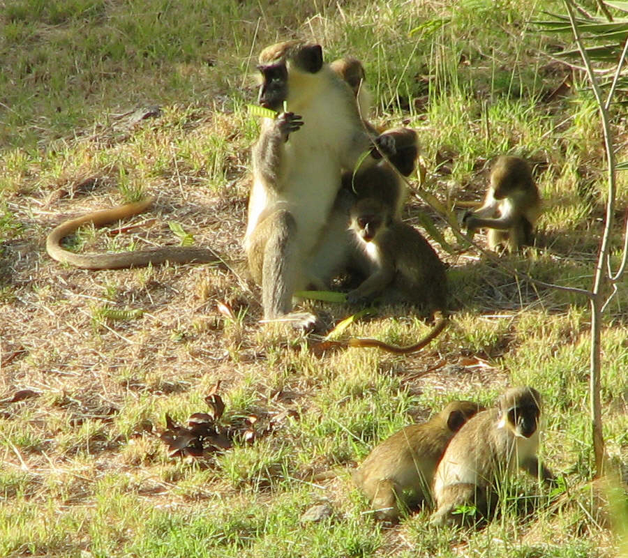Mommy and the kids