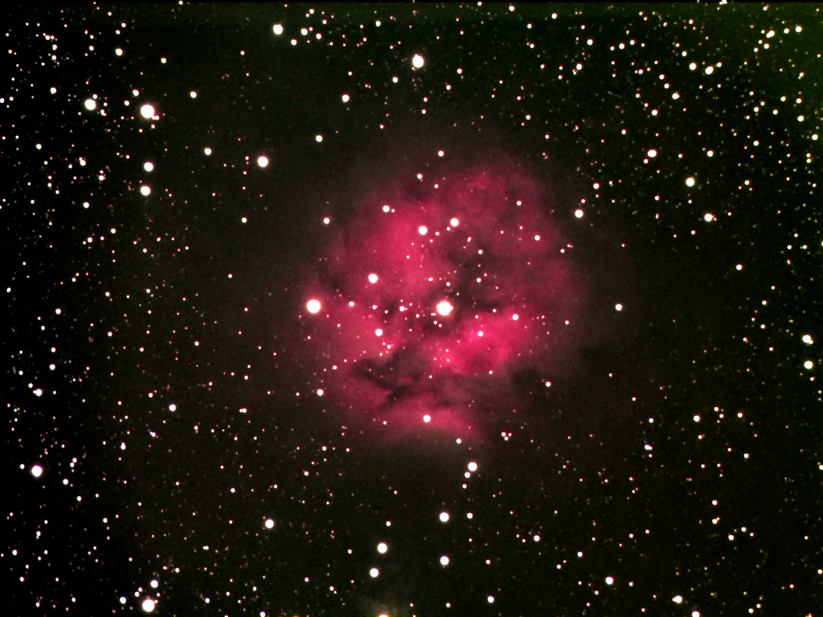 Cocoon Nebula