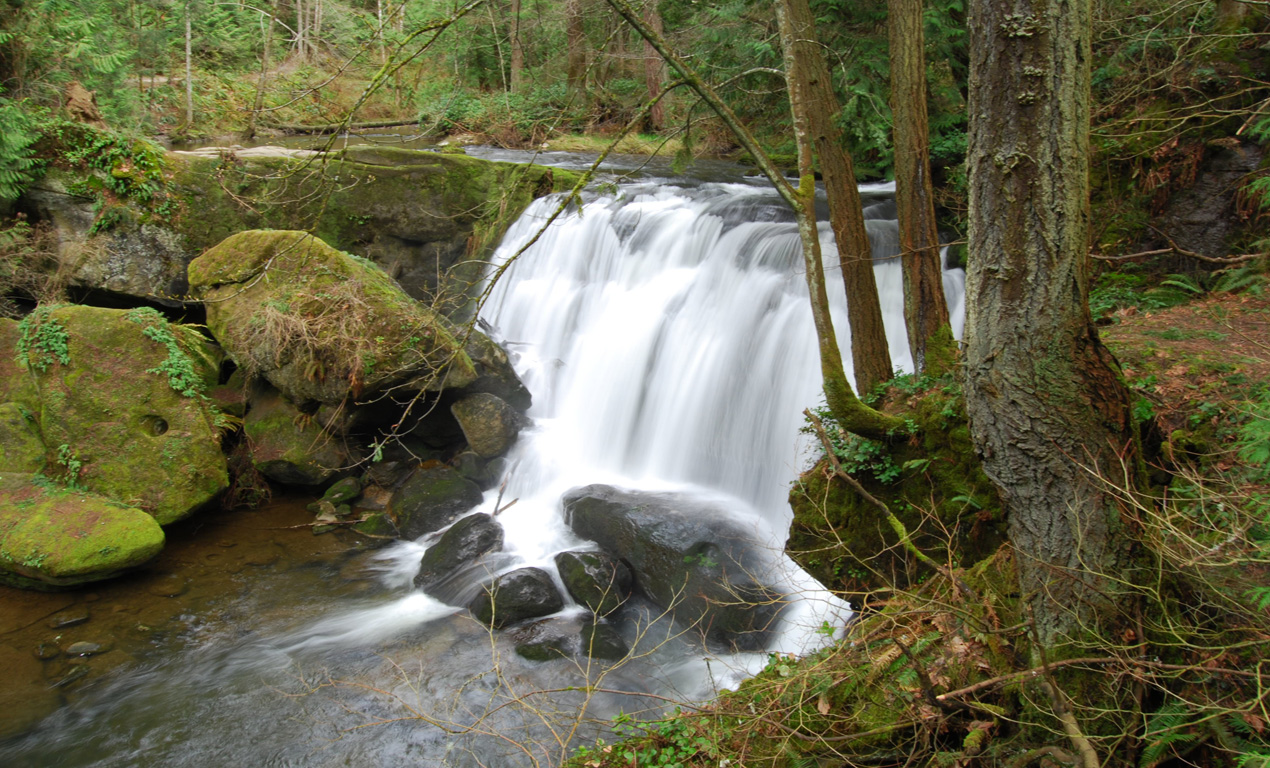 Whatcom Falls